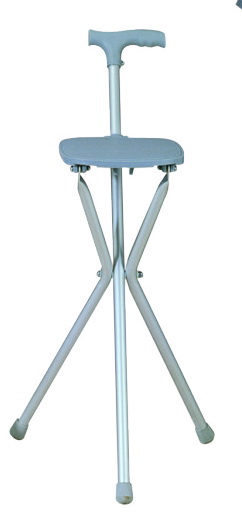 Seat Cane
