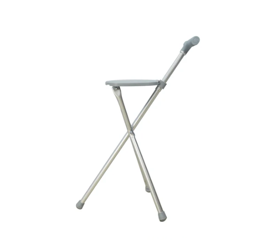 Seat Cane